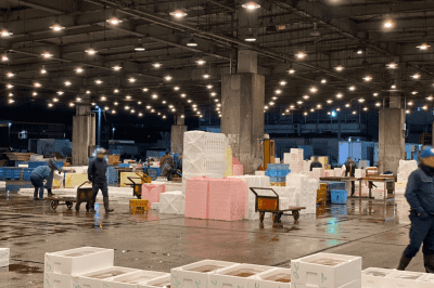 卸売市場の様子