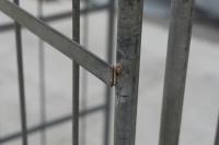 【販売終了】【中古】カゴ台車　W800×D600×H1700　ダイフク製　シルバー【引取限定商品】