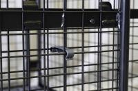 【新品】天使のセキュリティカゴ台車BIG　ブラック　W1100×D840×H1134　観音扉付き【軽量・小型カゴ台車】