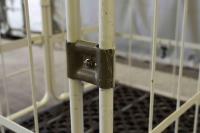 【販売終了】【中古】俺のカゴ台車　アイボリー　W1100×D800×H1700　上下観音扉付き【レンタル使用品】