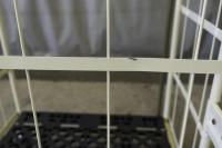 【販売終了】【アウトレット】 天使のカゴ台車 アイボリー W850×D650×H1100